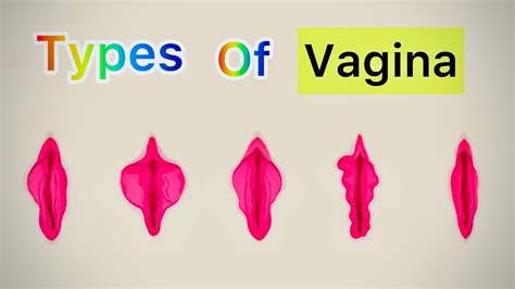 picture of a wet pussy|Lopsided Vagina: 9 Different Labia Shapes, Colors, and Sizes